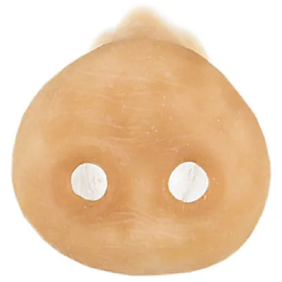 Produktbild von Grimas Latex-Schweinegesicht 308