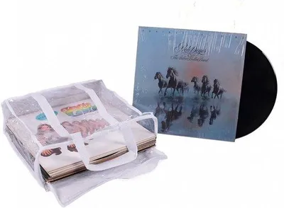 Produktbild von Famanu Aufbewahrungstasche für 33 U/min Vinylplatten - Set von 3 Stück