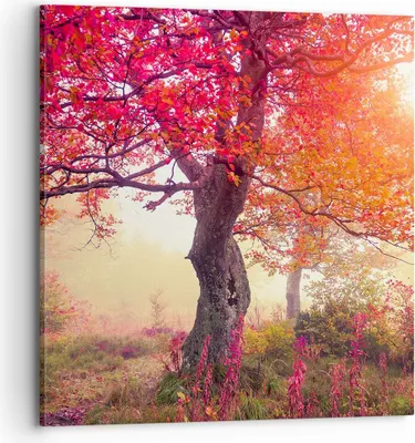Produktbild von Bild auf Leinwand - Leinwandbild - Baum Natur Wiese - 70x70cm - Wand Bild - Wanddeko - Wandbilder - Leinwanddruck - Bilder - Kunstdruck - Wanddekoration - Leinwand bilder - Wandkunst - AC70x70-3658