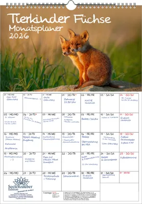 Produktbild von Tierkinder Füchse Planer DIN A3 Kalender für 2026 Fuchs und Füchse - Seelenzauber