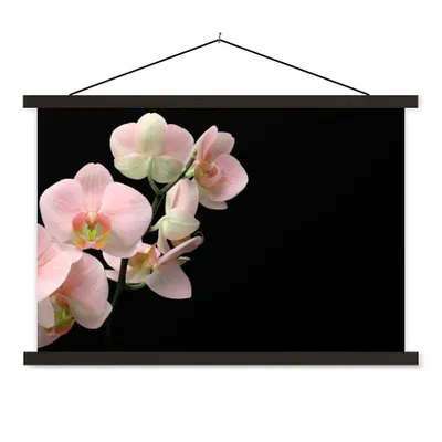 Produktbild von MuchoWow® Textilposter Orchidee - Blumen - Rosa - Stilleben - Flora 90x60 cm mit schwarzem Rahmen - Aufhängungssatz