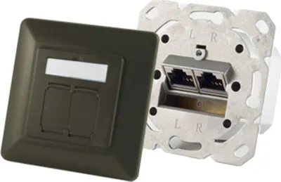 Produktbild von shiverpeaks BASIC-S Anschlussdose Kat. 6A 2 x RJ45 grün