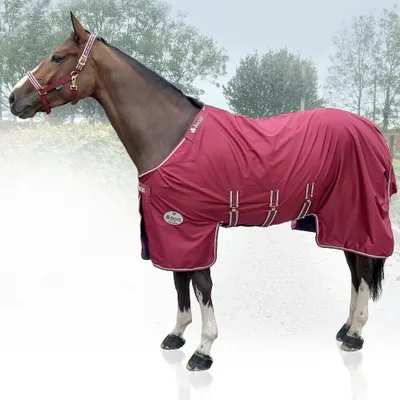 Obrázok produktu pre Bucas Jubilee X-Range Turnout Light 0g - Rubínová