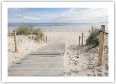 Produktbild von Poster - Poster ohne Rahmen - Strand Düne Eintritt - 70x50 cm - Wand Bild - Wanddeko - Wandbilder - Kunstposter - Wandposter - Bilder - Kunstdruck - Wanddekoration - Wandbild - P2XAA70x50-4188
