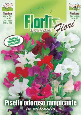 Produktbild von Edelwicke & Duftwicke Mischung | Edelwickensamen von Flortis