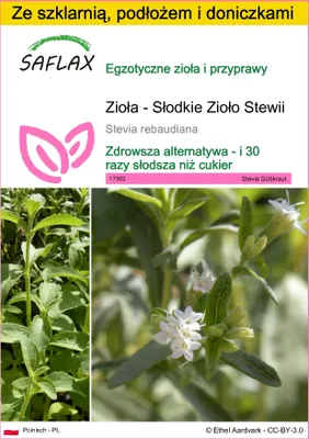 Zdjęcie produktu dla SAFLAX - Zestaw do uprawy - Zioła - Słodkie Zioło Stewii - 100 Nasiona - Z mini szklarnią, podłożem uprawowym i 2 doniczkami - Stevia rebaudiana