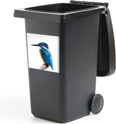 Produktbild von MuchoWow® Mülltonnenaufkleber Eisvogel - Federn - Zweig - Blau 40x40 cm - Abfall-Aufkleber - Container - für Abfallcontainer