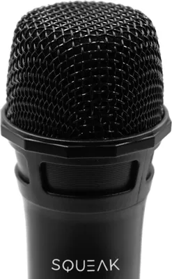 Produktbild von Vocalduo 2.4G Sq1007 Karaoke-Mikrofon-Set