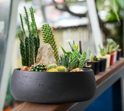 Image de Grand bac à plantes en céramique Kopenhagen - pot de fleurs noir mat - convient pour l'intérieur et l'extérieur - céramique - plat