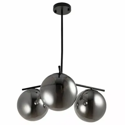 Image de Lampe à suspendre Lampe de salon Plafonniers ; Noir