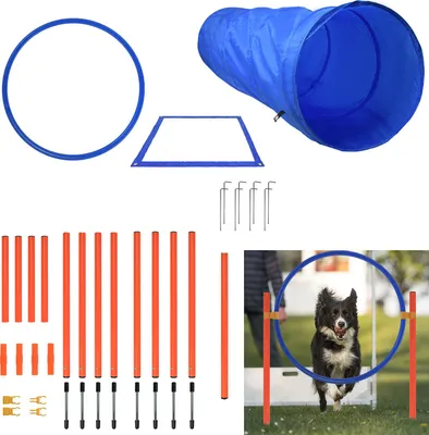 A collage of dog agility equipment and a dog jumping through a hoop.