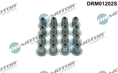 Produktbild von DR.MOTOR AUTOMOTIVE Ventilschaftdichtung-Satz DRM01202S für FORD Mondeo V Kombi (CF)