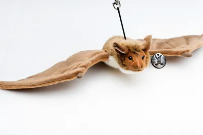 Produktbild von Fledermaus Plüschtier 41 cm LEBENSGROß Bechsteinfledermaus Kuscheltier SAMIRA