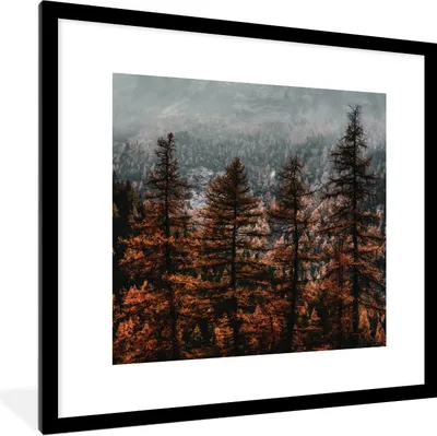Produktbild von MuchoWow® Gerahmtes Poster Bäume - Nebel - Winter 40x40 cm - Poster mit Schwarzem Bilderrahmen Wandposter Rahmen Foto Bilder - Poster - Plakat im Rahmen