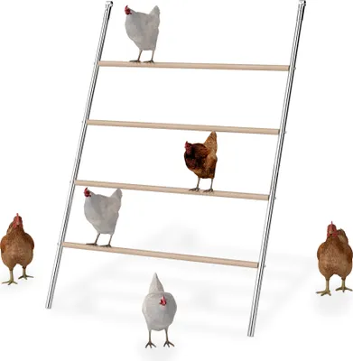 A chicken ladder with several chickens on and around it, set against a white background.