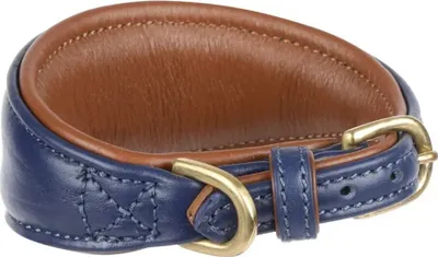 Immagine prodotto di Digby & Fox - Collare per cani levrieri, in pelle, imbottito ER2094 (S - Scollo: 25 cm-28 cm) (blu reale)