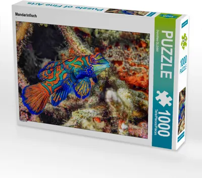 Produktbild von CALVENDO Puzzle Mandarinfisch | 1000 Teile Lege-Größe 64x48cm Foto-Puzzle für glückliche Stunden
