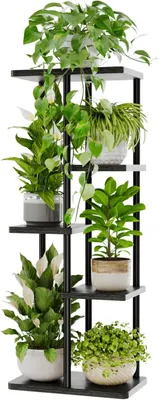 Image de Support métallique pour plantes, 5 niveaux, noir, pour plusieurs plantes