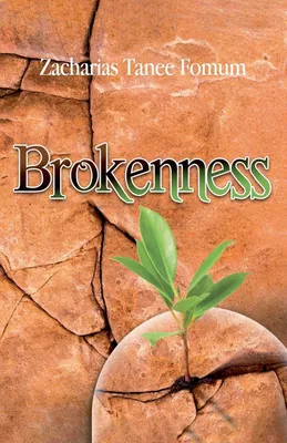 Produktbild von Brokenness