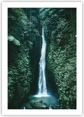 Produktbild von Poster - Poster ohne Rahmen - Tropen Wasserfall Dschungel - 50x70 cm - Wand Bild - Wanddeko - Wandbilder - Kunstposter - Wandposter - Bilder - Kunstdruck - Wanddekoration - Wandbild - P2XPA50x70-5103