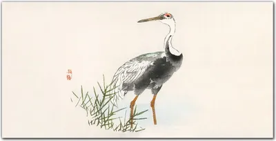 Produktbild von Coloray - Bild aus Glas - Glasbilder - 100 x 50 cm - Glasblock mit Bild Gehärtetes Glas Wohnzimmer Küche Dekoration Wanddekoration - Tier Vogel
