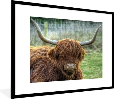 Produktbild von MuchoWow® Gerahmtes Poster Schottischer Highlander - Kuhkopf - Hörner 80x60 cm - Poster mit Schwarzem Bilderrahmen Wandposter Rahmen Foto Bilder - Schlafzimmer-Dekorationen - Fotoposter