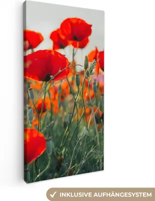 Produktbild von MuchoWow® - Leinwandbilder - Mohn - Blumen - Rot - Lila - Wiese, Wandbild, Wanddeko Bilder Wohnzimmer, 40x80 cm