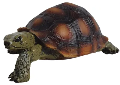 Produktbild von Schildkröte Garten Groß Gartendeko Dekofiguren Tierfigur Gartenfiguren Wetterfest ca. 15 x 9 x 6 cm