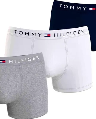 Obrázok produktu pre Tommy Hilfiger Boxer briefs UM0UM03181-OUN in Multicolored color size medium