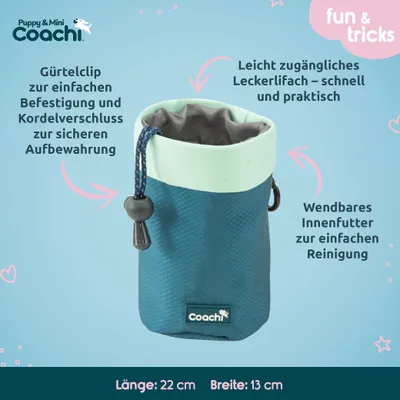 Imagen del producto de Arnés para perros de rescate Coachi