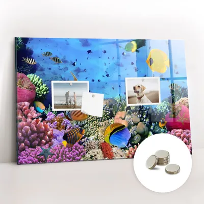 Obrázok produktu pre Magnetická tabuľa na stenu - Memo Tabuľa Sklenená - vrátane 5 magnetov - 60x40 cm - Podvodný život