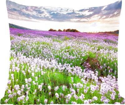 Produktbild von MuchoWow® Zierkissen Sofakissen Wohnzimmer Dekokissen 50x50 cm Blumen - Lavendel - Lila - Himmel - Sonnenuntergang - Wiese - Natur - Komfort - Sofakissen