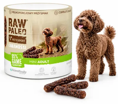 Imagen del producto de Bocadillo para perros VetExpert Raw Paleo, sabor jabalí, tipo cabanossi, mini, 100g