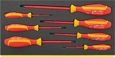 Image de Stahlwille TCS 4665/4670 Jeu de tournevis DRALL+ 7 pièces dans un insert TCS 96838785