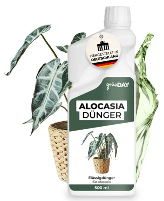 Produktbild von Alocasiadünger