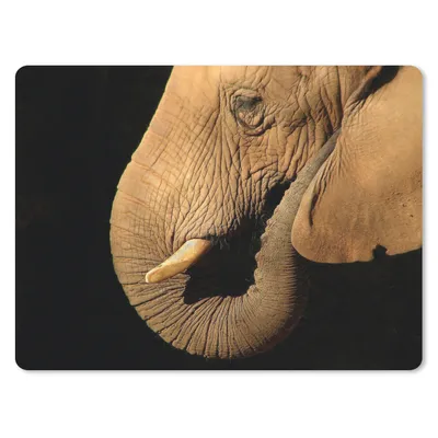 Produktbild von MuchoWow® Mauspad Mousepad Elefant - Tiere - Nahaufnahme - Schwarz 40x30 cm - Mousepads - Maus Mat - Pad - Mausunterlage - Anti Rutsch