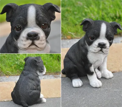 Produktbild von Dekofigur Gartenfigur Boston Terrier