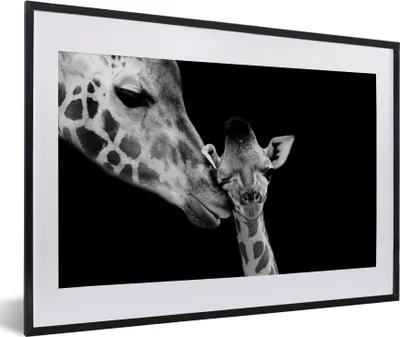 Produktbild von MuchoWow® Gerahmtes Poster Tiere - Schwarz - Weiß - Giraffe - Porträt 60x40 cm - Poster mit Schwarzem Bilderrahmen Wandposter Rahmen Foto Bilder - Schlafzimmer - Plakat in Rahmen - Drucken