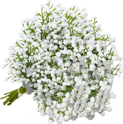 Imagen del producto de Flores artificiales de gypsophila blanca, 10 unidades, para decoración del hogar y bodas