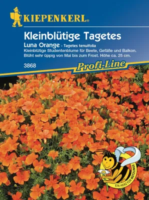 Produktbild von Kleinblütige Tagetes Luna Orange | Studentenblumensamen von Kiepenkerl [MHD 01/2024]