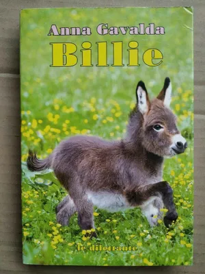 Image de Billie