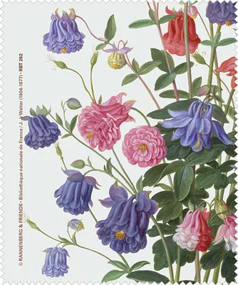 Produktbild von Reinigungstuch Brillenputztuch Akelei Microfasertuch Brillenputztücher Tuch Blumen