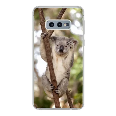 Produktbild von MuchoWow® Handyhülle Schutzhülle Hülle für Samsung Galaxy S10e Koala - Äste - Tier - Kinder - Jungen - Mädchen Silikon Softcase Handy Hülle - Handy