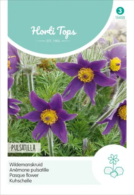 Produktbild von Kuhschelle | Blumensamen von Hortitops