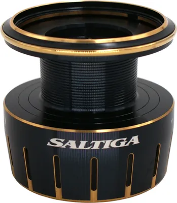 Obrázok produktu pre DAIWA náhradná cievka pre 23 Saltiga, 4000-H, 19310-040