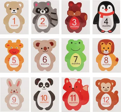 Produktbild von Cartoon-Tier-Monatsaufkleber für Neugeborene, sicherer Monat, 12 Stück, Papier für Babys und Kleinkinder