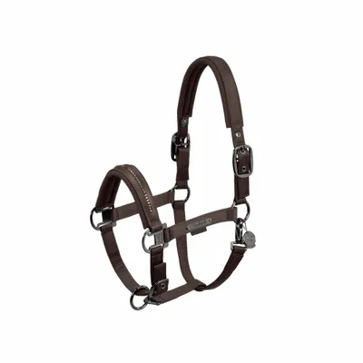 Produktbild von Eskadron Pferde Halfter Double Pin Glossy Crystal teak brown Platinum 2024, Größe:P1