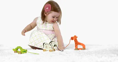 Produktbild von Hape Push & Pull Nachzieh-Giraffe, E0906