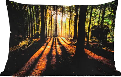 Produktbild von MuchoWow® Outdoor Kissen - Sonne - Bäume - Wald - Landschaft - Natur - 60x40 cm - Wetterfest - Lounge Kissen - Zierkissen - Kissen für Innenräume