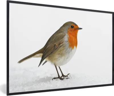 Produktbild von MuchoWow® Gerahmtes Poster Rotkehlchen - Schnee - Weiß 90x60 cm - Poster mit Schwarzem Bilderrahmen Wandposter Rahmen Foto Bilder - Fotorahmen - Foto-Plakat